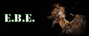 E.B.E.